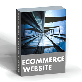 STANDARD ECOMMERCE WEBSITE ONLY